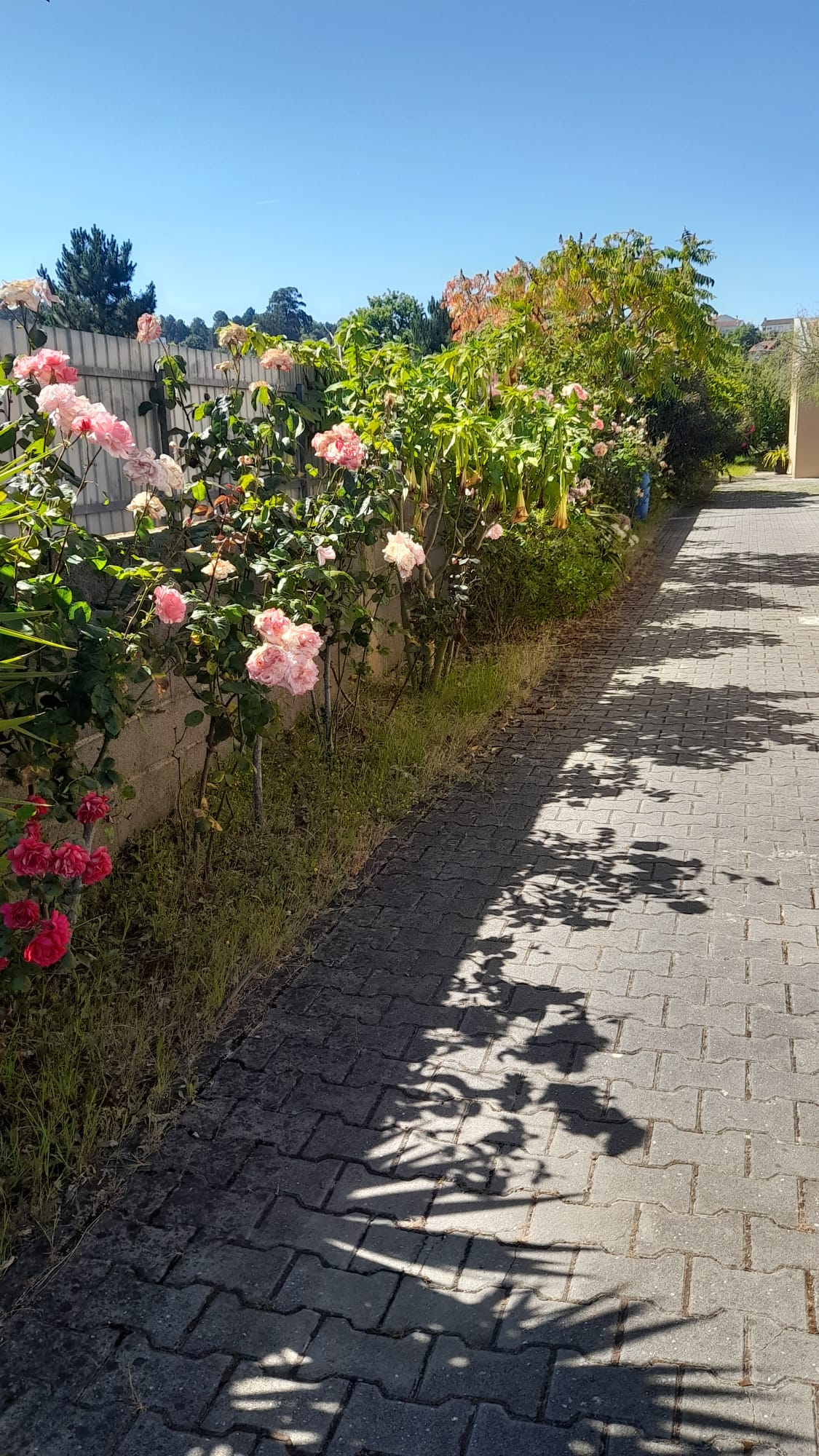 Fachada da moradia